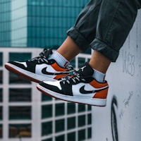 Pegasus 41